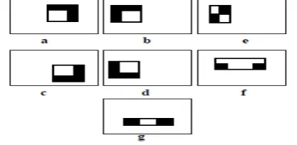 Fig.4. The newly proposed seven types of features withintheir sub window of 24x24 pixels