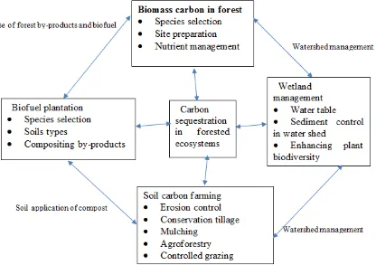 Figure 2.  Technological options for carbon sequestration in terrestrial ecosystem. Soil C farming can be promoted through trading of C credits and generating another income stream for farmers 