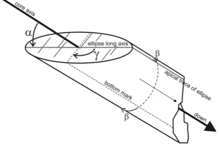 Figure 2.  Two sets of mineral accretion steps on a fault plane. 
