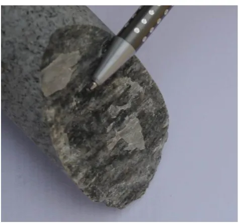 Figure 9.  Kinematic indicators on the borehole core TIV_1.  