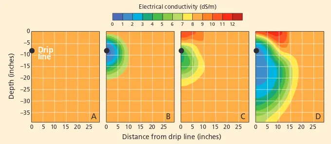 Fig. 3. Soil-water salinity/electrical conductivity (EC) around the drip lines at (A) start of simulation period (t = 0 day), (B) just after first irrigation (t = 1 day), (C) just before second irrigation (t = 3.5 days) and (D) just after last irrigation (