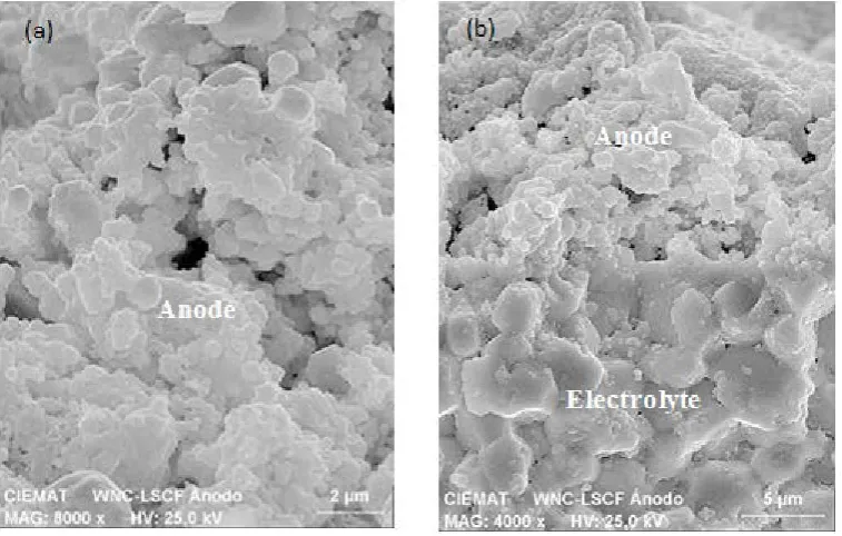 Figure 5.  SEM images and EDX mapping of the anode/electrolyte region after cell testing on biogas with 10ppm H2S; (a) anode surface; (b) cross-sectional of anode/electrolyte