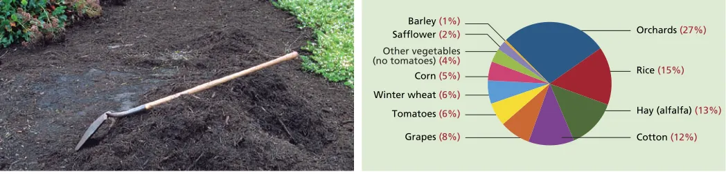 Fig. 1. Most important crops studied in 10 counties of the Sacramento and San Joaquin valleys