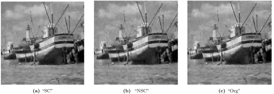 Figure 12. Visual assessment for denoising via the scalable, non-scalable complete and over complete K-SVD at L16 recovery level ofthe ﬁrst training frame of the “Stephan” video sequence, σ = 40