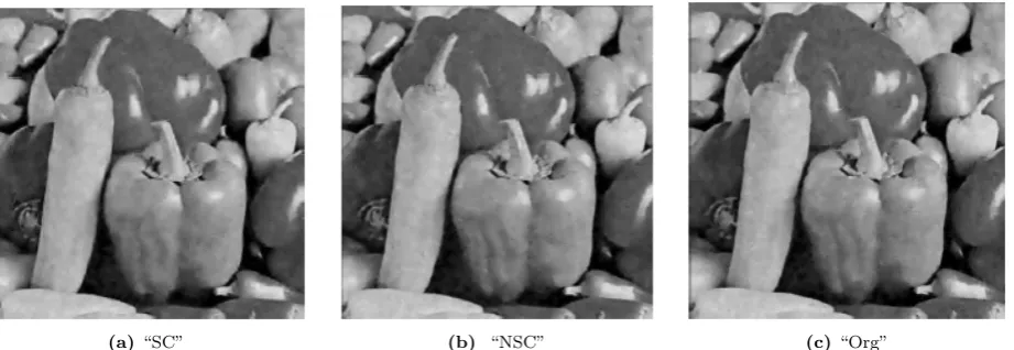 Figure 15. Visual assessment for denoising via the scalable, non-scalable complete and over complete K-SVD for the L16 recoverylevel given the image “Peppers”, σ = 40