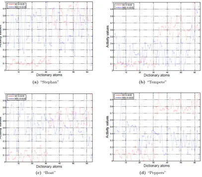 Figure 17. Activity atom’s pattern for the dictionaries of the two video sequences and two natural images.