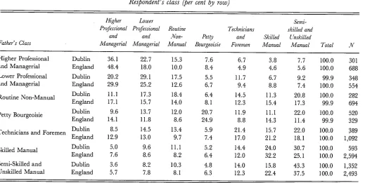 Table 4.3: Class distribution of respondents implied by the constant social Jluidity model