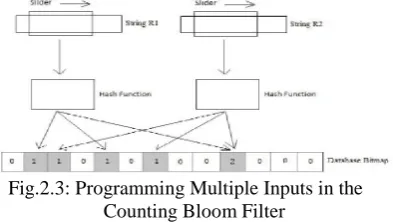 Fig.2.3: Programming Multiple Inputs in theCounting Bloom Filter