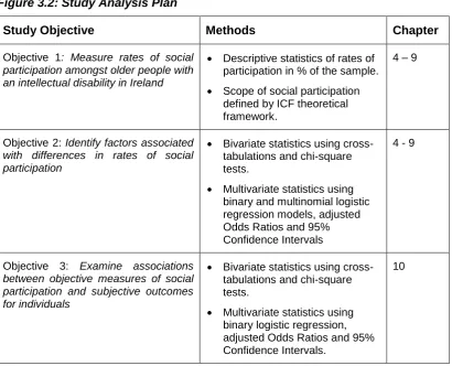 Figure 3.2: Study Analysis Plan 