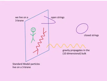 Figure 1. Brane World schematically.