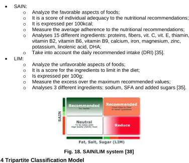 Fig. 18. SAIN/LIM system [38] 