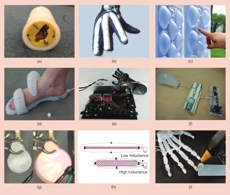 Figure 2. The example projects from the 2015 SRT competitions. (a) An untethered soft wheel robot
