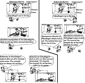 Figure 17.  Schrodinger’s cat experiment from the viewpoint of an external observer (the experimenter) and from self-observation (the cat)  