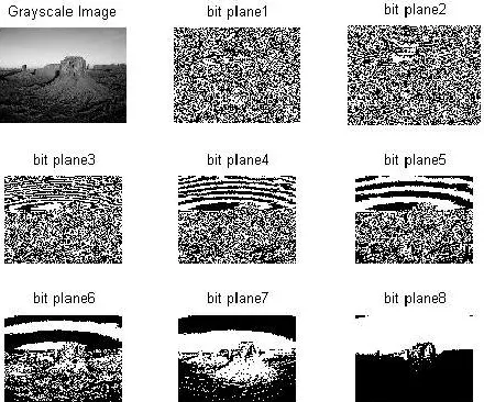 Figure 1: Different bit planes of a grayscale image 
