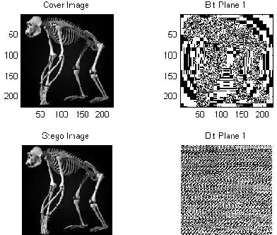 Figure 8: Carrier image before and after embedding in 2 LSBs 