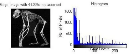 Figure 10: Image and histogram for 1, 2 and 4 LSBs replacement 