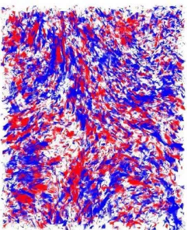 Figure 3: From the same work of Mininni, et. al. (2008b) it showsthe same ﬂow sub-domain as in Fig