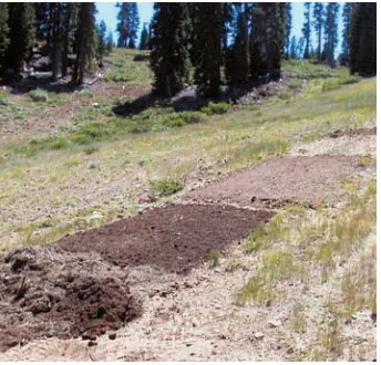 TABLE 1. Estimated or known erosion-control treatment characteristics  at Tahoe Basin rainfall simulation sites