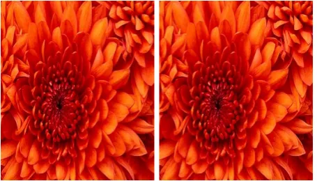 Figure 5: original image and image with the hidden data