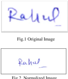 Fig 2. Normalized Image