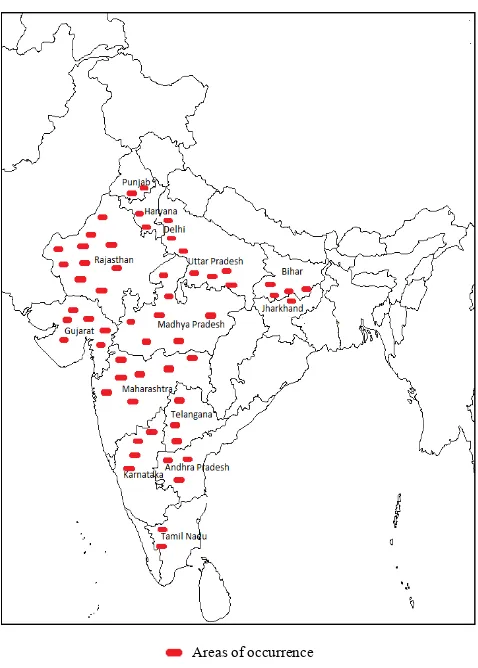 Figure 1.  Map of India showing growth of Edgew.Capparis decidua (Forssk.)  