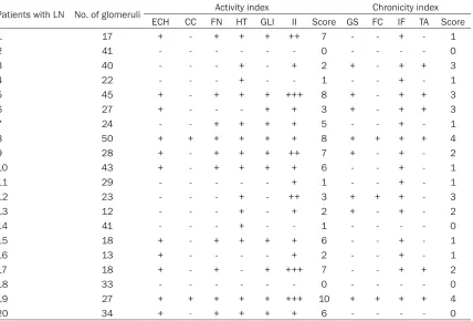 Table 5. Summary of histological features of activity and chronicity in lupus nephritis