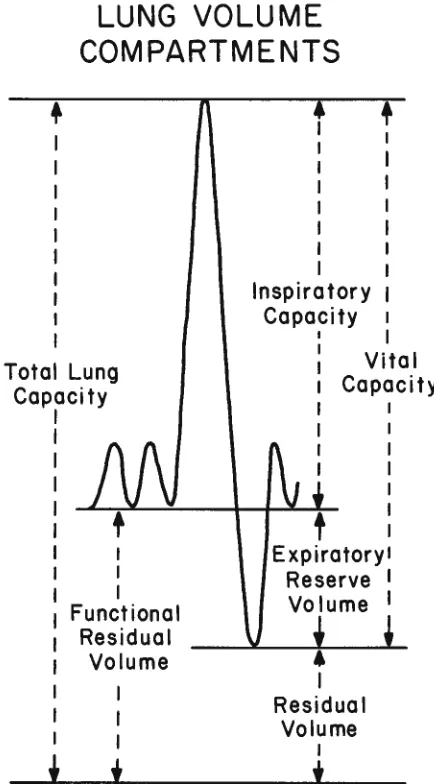 TABLE I Sequential Function Studies in a Patient 