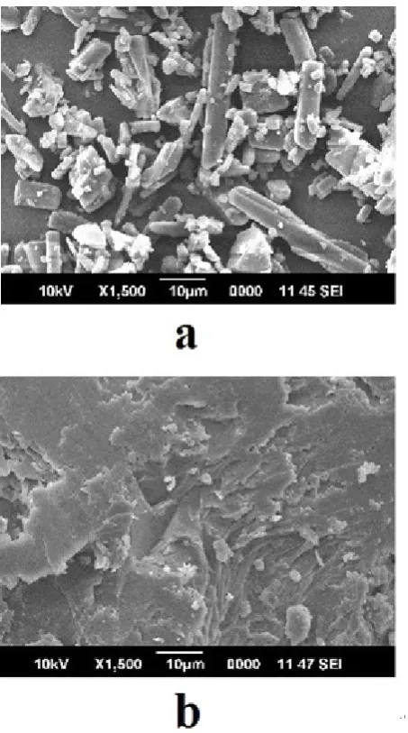 Figure 6.  Scanning electron microscopy photographs of (a) repaglinide and (b) microwave induced solid dispersion (MSD)