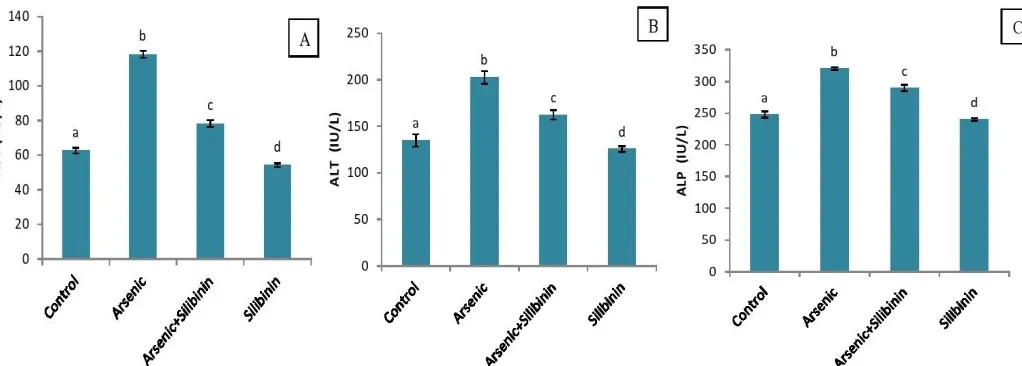 Fig. 2: The effect of As and SB supplementation on serum hepatic enzyme markers such as AST (A),ALT (B) and ALP (C) of control and experimental rats