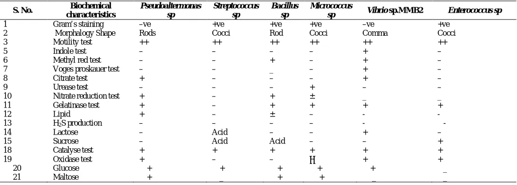 Table. 2:  Screening of the bacteriocin producing isolates by agar over lay  method.  