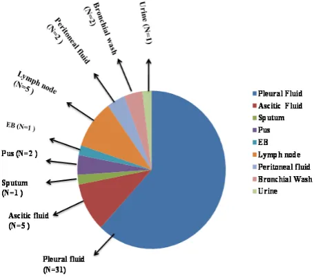 Figure 1.  Graphical representation of clinical tuberculosis samples (N=50) samples were categorized as pleural fluid (N=31), ascitic fluid (N=5), lymph node (N=5), peritoneal fluid (N=2), pus (N=2), endometrial blood (EB, N=1), urine (N=1)
