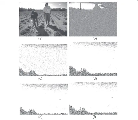 Figure 9 LSB plane of cover image with 10% embedding and smooth area (marked) is cropped from stego images.(b) (a) Cover image
