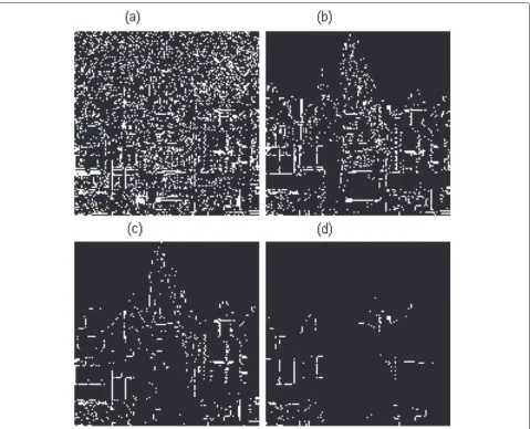 Figure 6 Effect of threshold on edge detection. (a) Threshold 0.00. (b) Threshold 0.25