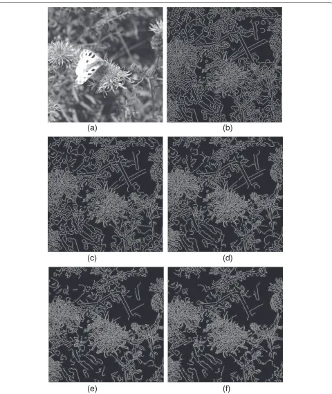 Figure 7 Effect of width of the kernel on edge pixels for an embedding rate of 0.10 bits per pixel (bpp)