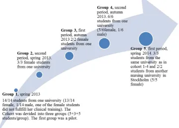 Figure 3.  Overview of groups – every group was using AssCE 