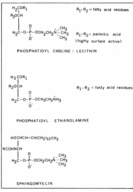 Fig. I-Chemical structures of some phospholipids. 
