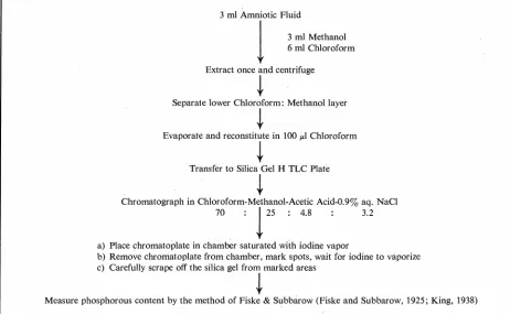 Fig. 4- Methodologic flow sheet. 