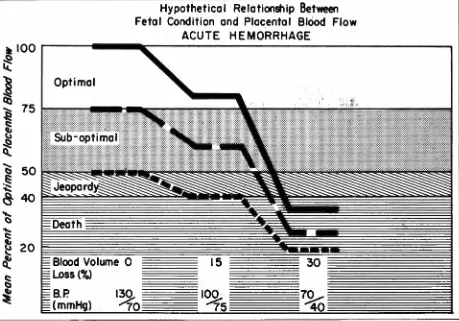 Fig. 9- Effect of expanders acute sudden hemorrhage on placental blood flow in the ewe