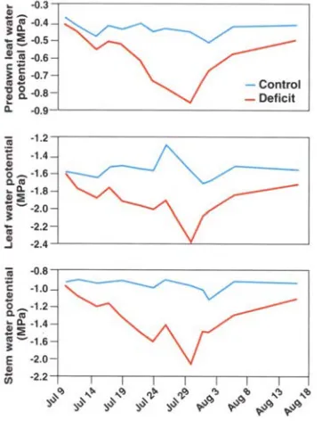 Fig. 2. tial and midday stem water potential with water potential, midday leaf water poten- Experimental data of predawn leaf time
