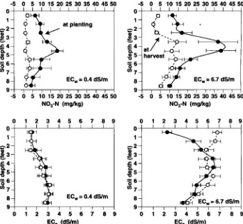 Fig. 1. Soil water depletion (SWD) by sugarbeet plants by depth in the soil pro- 