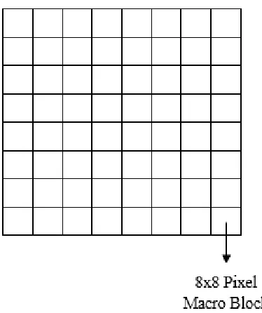 Figure 3: Macro Block of 64 Pixels 