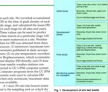 Fig. 1. Development of elm leaf beetle sampling. 