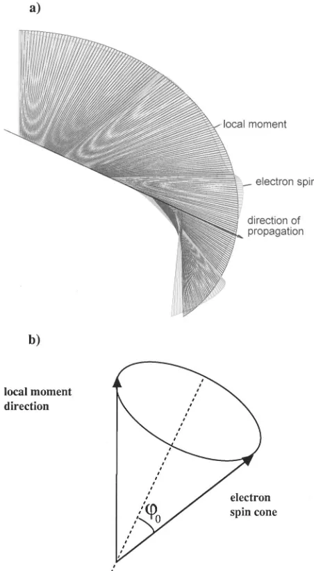 FIG. 3. Numerical simulation of the canting of the conductionelectron spin as it attempts to follow the local magnetization during