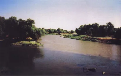 Fig. 4. Assimilative capacity for daily TDS in the San Joaquin River near Vernalis, 1993