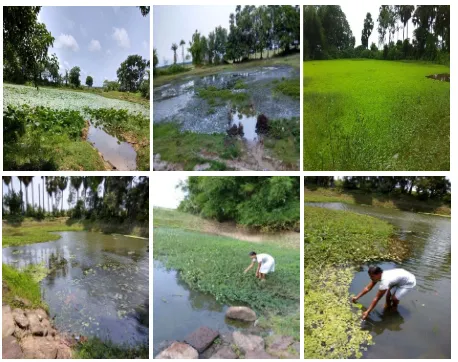 Table 1.  Villages having different types of water body 