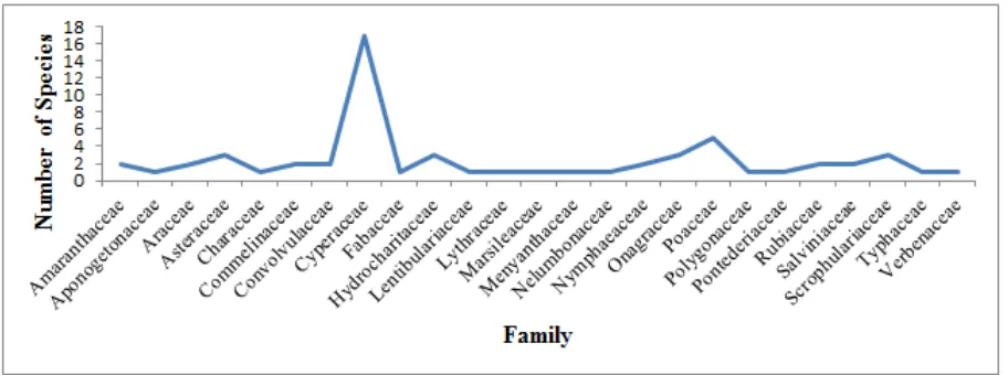 Figure 4.  List of family-wise distribution of hydrophytic plants present in Puri district, Odisha 