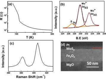 Figure 2. Raman and TEM characterization of Fe3O4/MoS2/Fe3O4 trilayer structure. (a) R-T curve of the bottom Fe3O4 electrode, (b) X-ray photoemission spectroscopy compositional analysis of the MoS2 layer, (c) Raman spectra of the MoS2 barrier layer, (d) TEM characterization of MoS2/Fe3O4 bilayer on a MgO substrate.