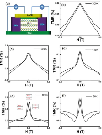Figure 3. TMR of Fe3O4/MoS2/Fe3O4 junctions. (a) Schematic drawing of the Fe3O4/MoS2/Fe3O4 junctions