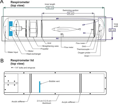 Figure. 1.  Modified Blazka respirometer for gag showing (A) insulated outer shell, interior and swimming chamber for the fish, with a total volume of 257 l, as well as the placement of flow meters, thermocouple and oxygen probe and (B) acrylic lid with al