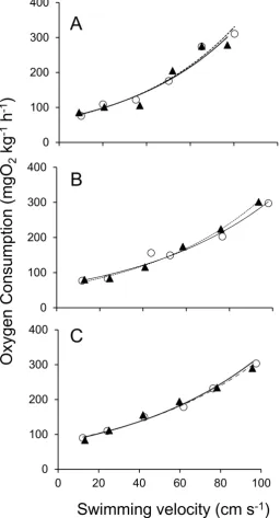 Figure 5.  Mass-specific rate of oxygen consumption (mgO2 kgb and c correspond to 1.5, 2.4, and 3.1 kg fish, respectively)